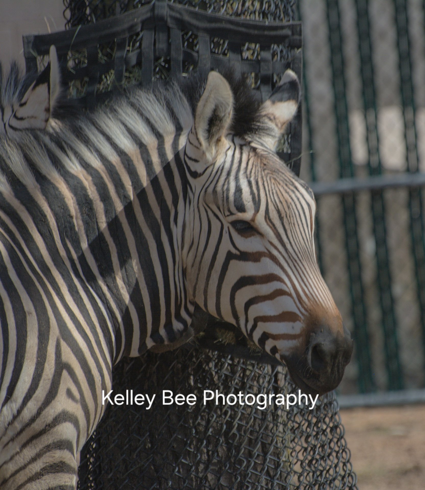 30Da83C010Bd81Adba68E5C4Abd3F29E V