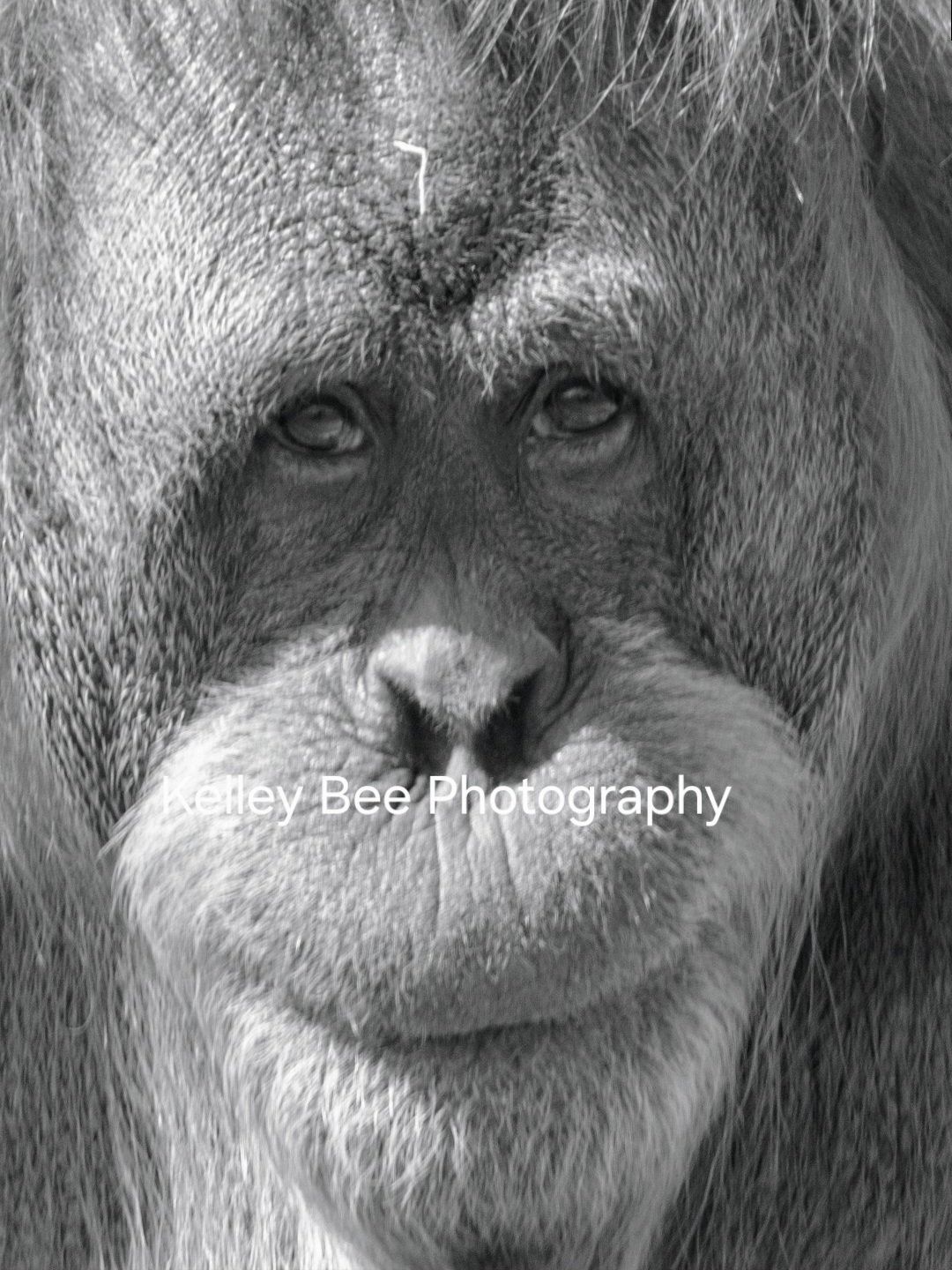 Screenshot 20260325 125544 Lightroom~2