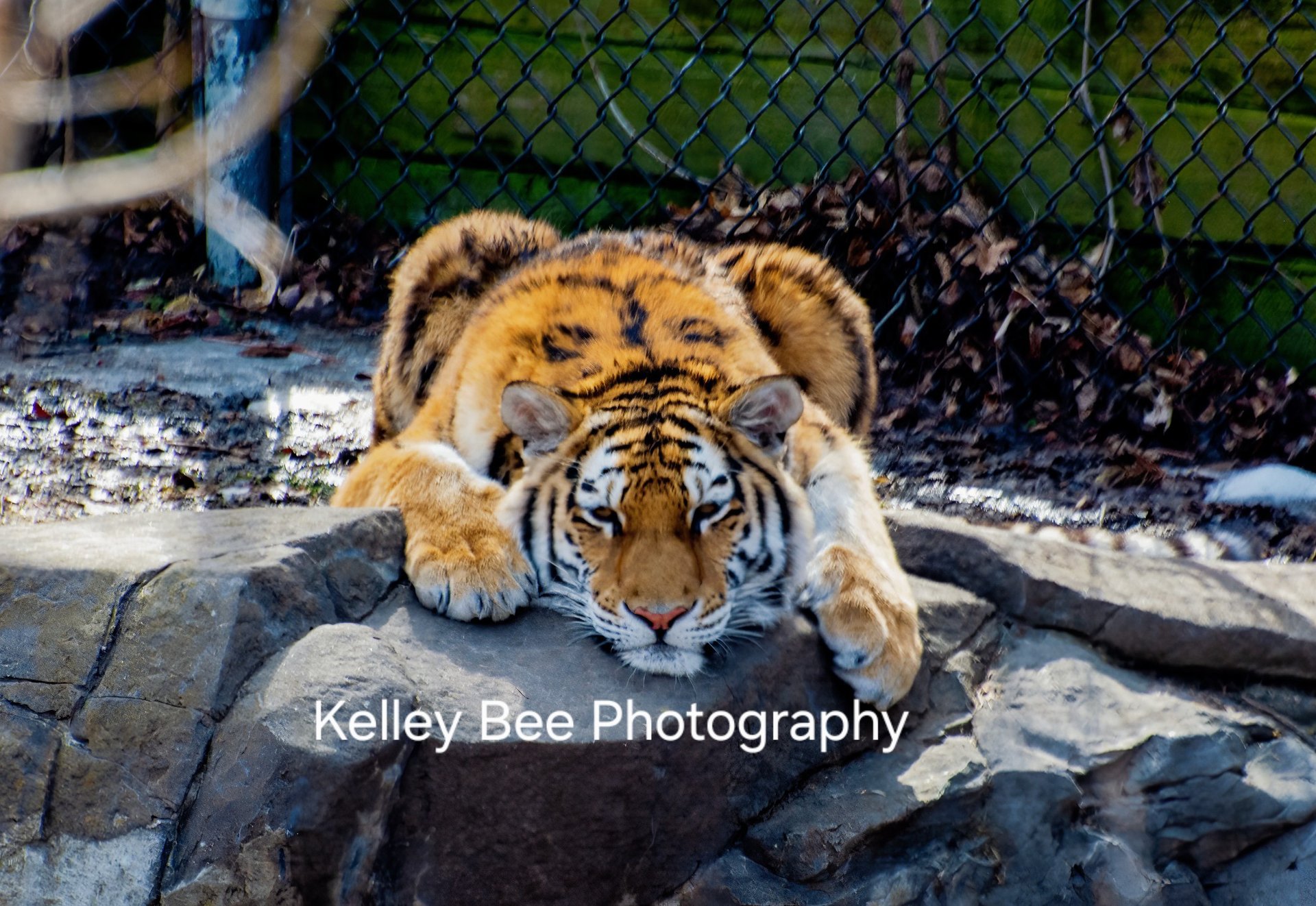 Image 20260323 083322 051 65